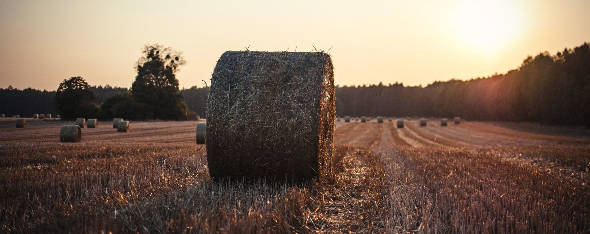 Wycena nieruchomości rolnych